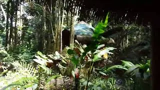 Kerrigan Lodge in Costa Rica