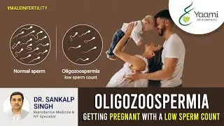 Getting Pregnant with a Low Sperm Count | Oligozoospermia