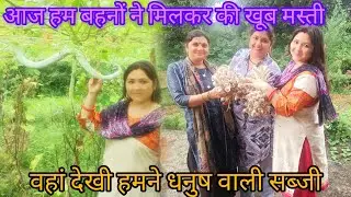 ✨Aaj ham bahanon ne milkar ki khoob Masti ||vahan dekhi humne Dhanush wali sabji || #phadivibes 