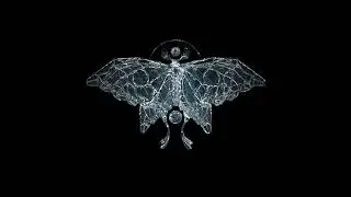 Krista Bourgeois - Creation Through Destruction