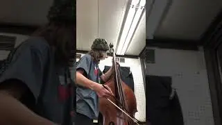 C Major scale string bass