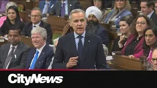 'Poor choice of words': Carney backtracks comment on Trump