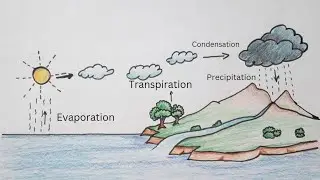 how to draw water cycle easy step by step | water cycle of a school project
