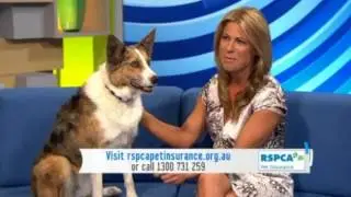Mel Sloper - RSPCA 2