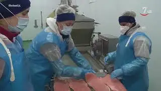 Hecho en CyL (215).- La Balinesa, Factoría Drylock, la empresa Toro
