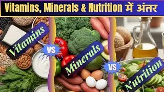 What is the Difference between Vitamins, Minerals and Nutrition? | Vitamins vs Minerals vs Nutrition
