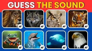 Guess The Logo & Sound Challenge | Fun Quiz Game 2025 🎵🖼️