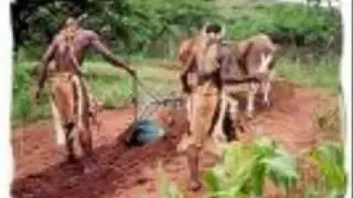 JAH MASON - FARMER MAN