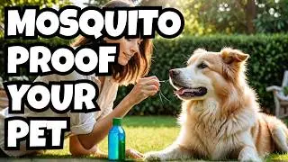 How To Keep Mosquitos Away From Dogs