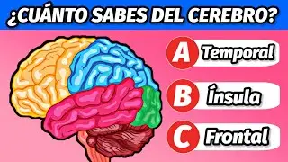 ¿Qué Tan Bien Conoces Tu Cerebro? 🧠 25 Preguntas Para Ponerte a Prueba 🔥