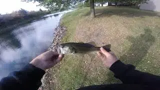 Top 5 Bass fishing lakes in cook county IL 