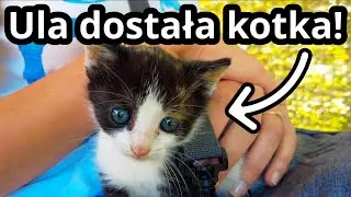 Ostatni odcinek z Czarnogóry - jak wróciliśmy do domu? | Czarnogóra #15