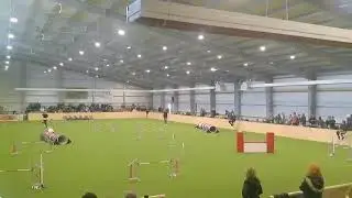 Agility German Classics 2022 - Teil 2