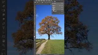 Learn Photoshop for beginner   Photoshop Basic Tutorials Tips #shorts #photoshop # 472