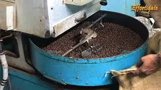 The Coffee Transformation: Turning Beans into Premium Powder