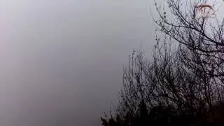 Fog : Free Stock Footage [Royalty free]