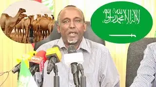 SOMALILANMD OO SUCUUDIGA UGU HANJABATAY IN AY JOOJIN DOONAAN XOOLAHA LOO DHOOFIYO