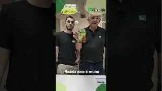 Fungithor - Kelldrin - Center Campinas!