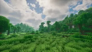 The Perfect Jungle Seed - Minecraft Seeds 1.21.10