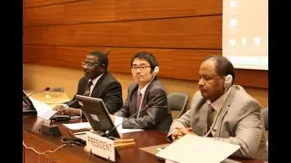 Freelance Meeting Event Manager in United Nations, African Development Bank, and NGOs