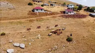 Dulundas Yaylası - Çamoluk