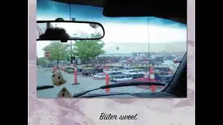 Delayed Signal: Bittersweet (Official Audio)