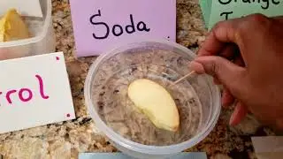 How to prevent apple browning (oxidation)