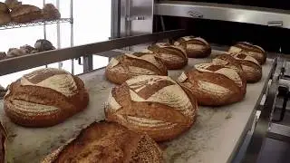 Barrio Bread in Tucson, Arizona | Wildcat Family