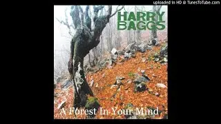 Harry Baggs - With An Empty Eye
