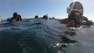Group of divers diving Sydney best scuba diving site the Apartments