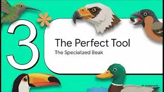 Unveiling the Fascinating World of Wild Birds【Birding Explained】