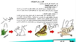 الانسان والبيئة - Lecture 2