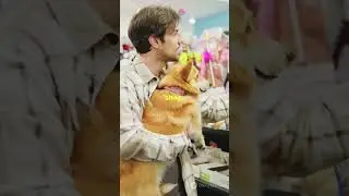 Lonely dog finds best friend #love #friends #dog