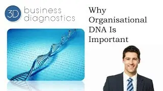 3D Business: Why Organisational DNA Is Important
