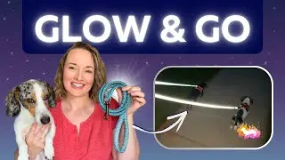 Why Every Dog Owner Needs This REFLECTIVE Dog Leash for Night Walks! 🌙