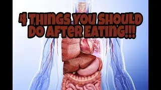 4 THINGS TO DO THAT WILL BENEFIT YOU AFTER EATING!
