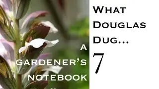 What Douglas Dug... Show 007 - Cheap cold frame, garden sculpture and more!