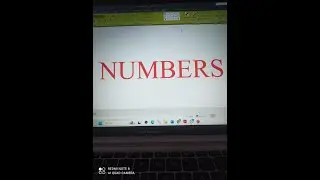 NUMBERS (İNGİLİZCE SAYILAR)