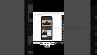 Day 1 of 100 days of flutter