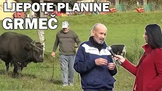 Na planini Grmeč on se mor'o borit i tako je produžav'o svoju rasu!