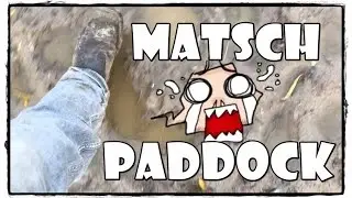 Pferde im Offenstall - Matsch Paddock | Pferde Hoschi