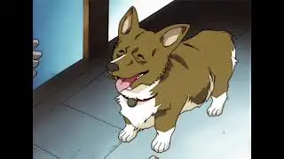Chippy the dog (full song)