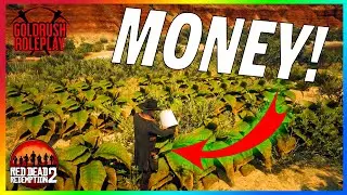 MONEY MAKING DAY! | Red Dead Redemption 2 Roleplay (Goldrush RP)
