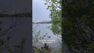 the best biking trail in toronto