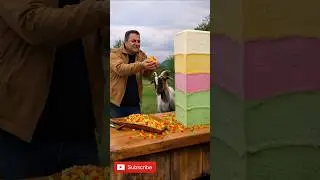 Giant Ice Cream Tower I Cooked Outdoors.