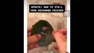 #How To Catch Chicken Fast & Eazy 🐔🍗🍗💯