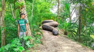 Anaconda Snake Attack Village Boy In Forest | Snake Attack Boys In Forest