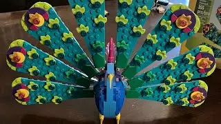 Lego Exotic Peacock review