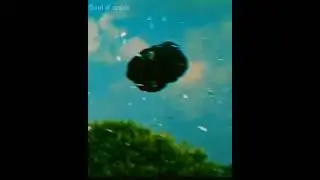 beast WhatsApp status|| #beastofficialtrailer