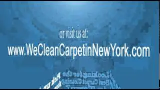 Looking for Carpet Cleaning Services in Northport, NY?